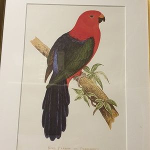 Meet your Posher, Shane